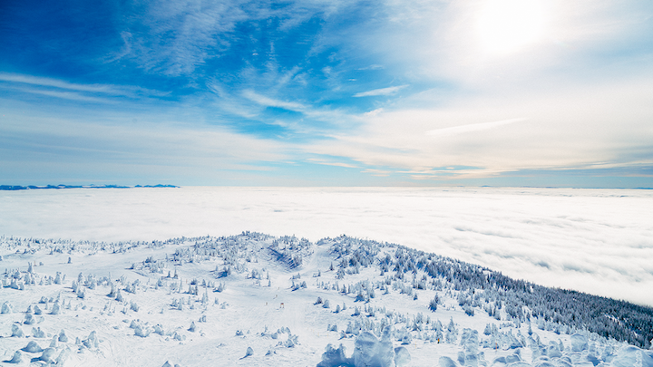 Falcon Chair View