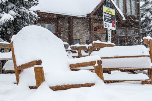 Snow Day at Big White: Over 40cm in 24 hours10