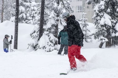 Snow Day at Big White: Over 40cm in 24 hours5