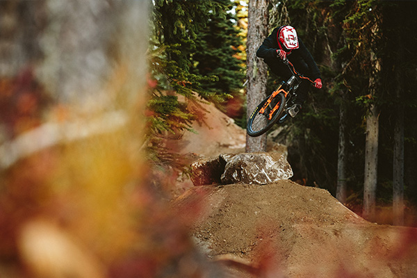 Bas van Steenbergen