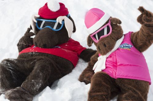 Big White Opening Day: Photos!101