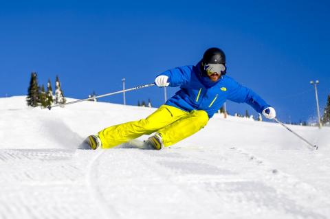 Bluebird Groomers