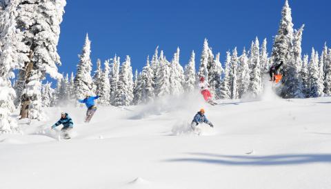 Gang Ski and Board in Pow