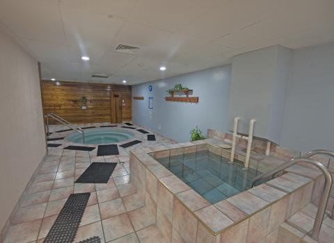 Ptarmigan Inn Hot Tub, Sauna, Plunge Pool 