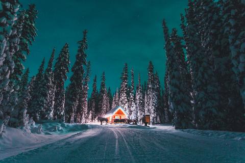 Horse drawn Sleigh dining Tour