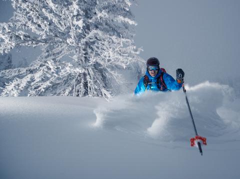 Powder shots