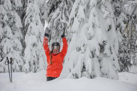 Powder girl