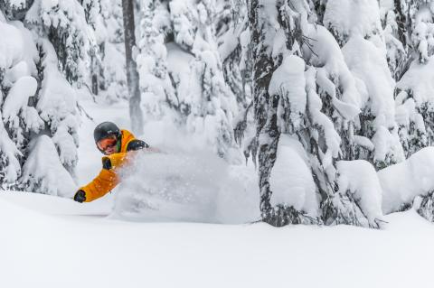 Snowboard powder