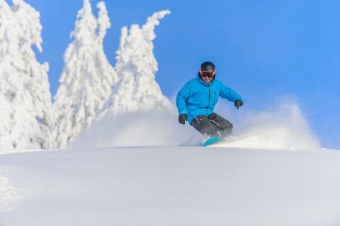 Powder board