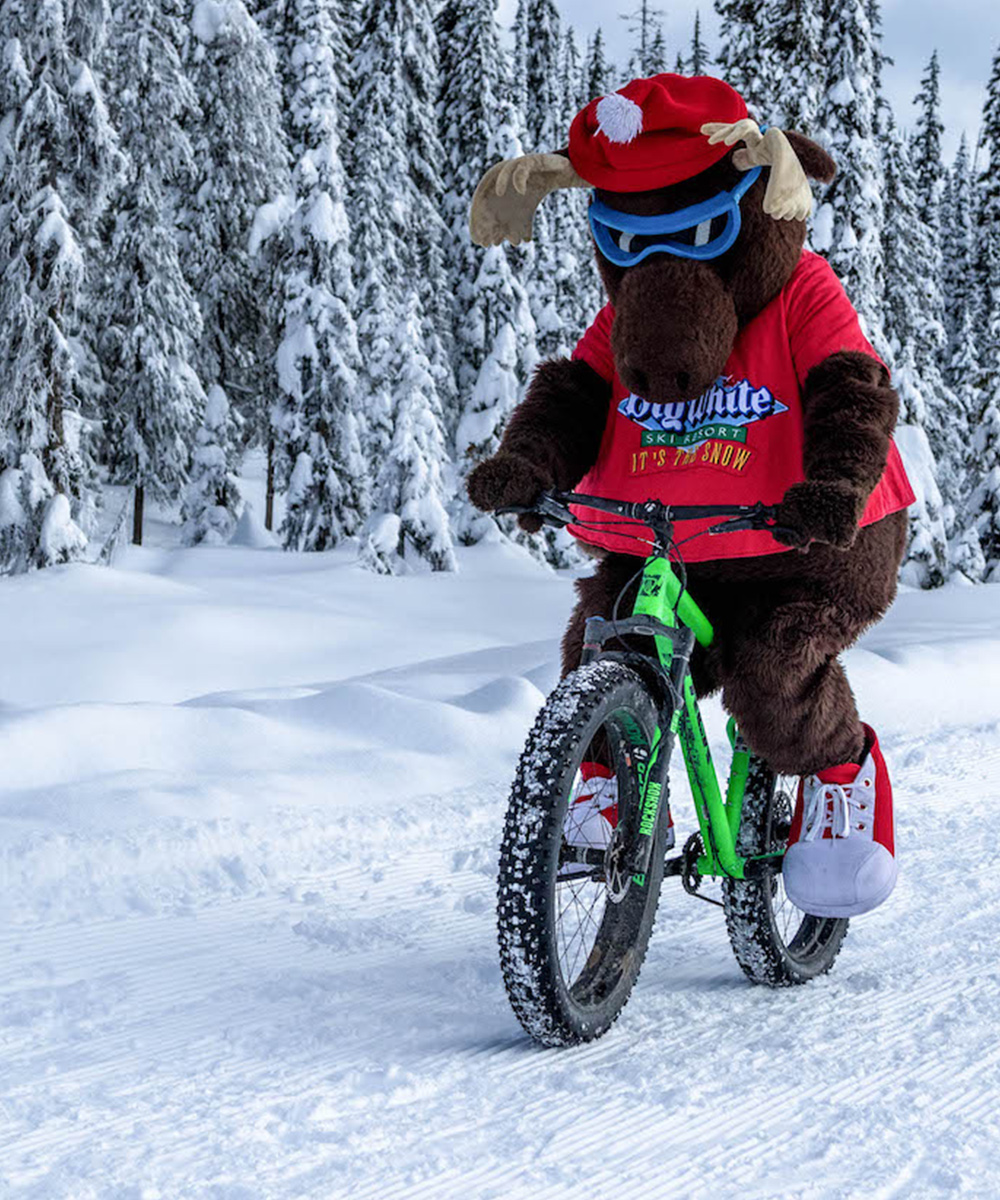 snow biking