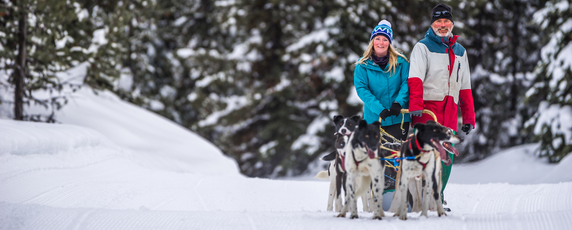 4 activities every nonskier needs to try at Big White Big White Ski