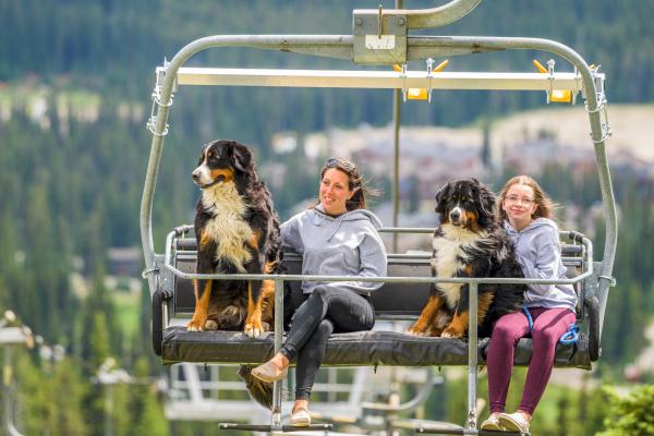 hiking with dogs