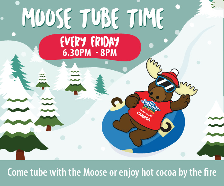 Moose tubing down slope