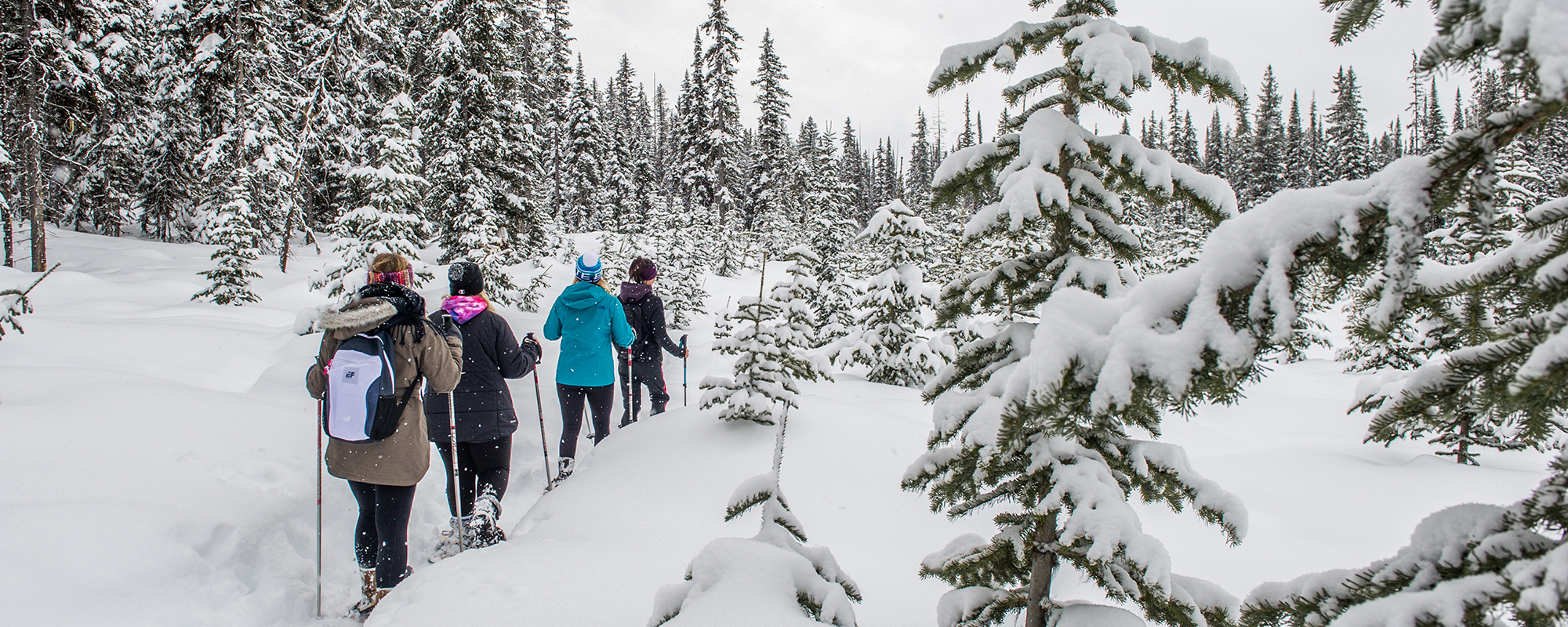 Explore Snowshoeing at Big White Ski Resort Big White Ski Resort Ltd.