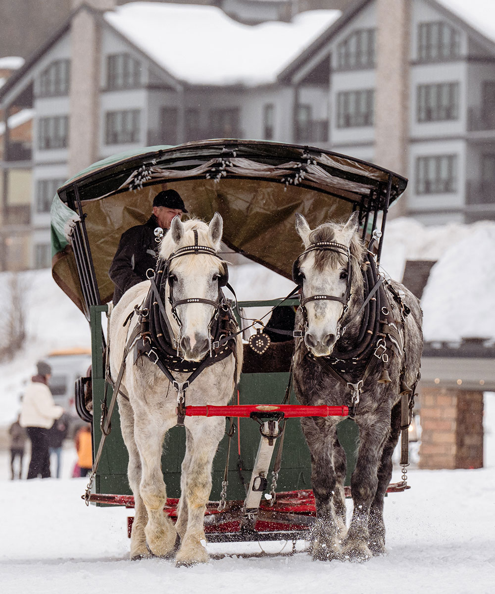 Horse Drawn Sleigh Rides Where To Find Sleigh Rides In New Hampshire