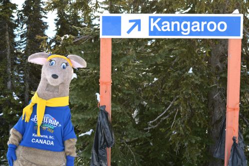 Australia Day 2015 at Big White4