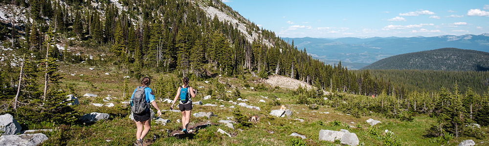 Summer trails