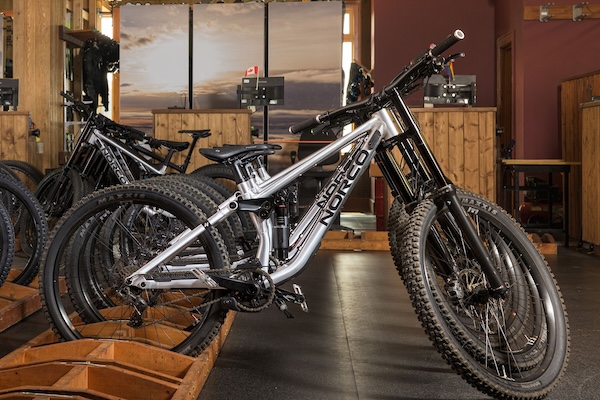 Bike Rentals & Service