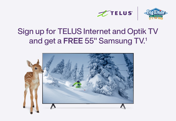 TELUS SP offer