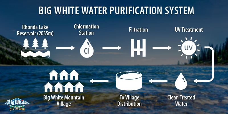 Water Purification