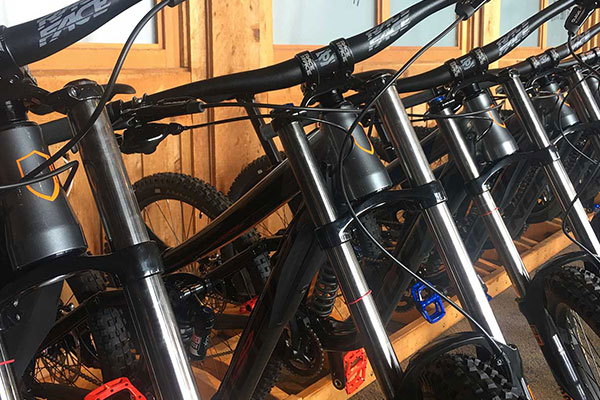 Bike Rentals