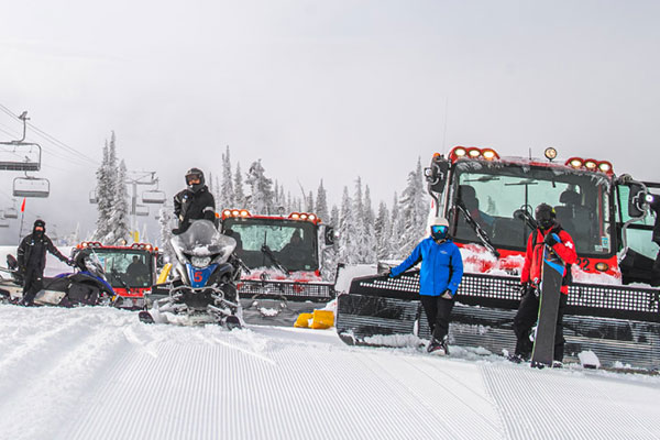 Groomers