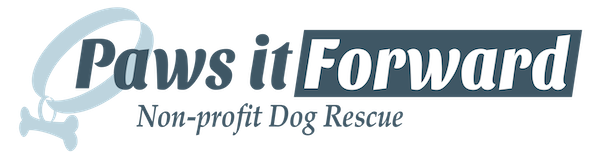 Paws it forward logo