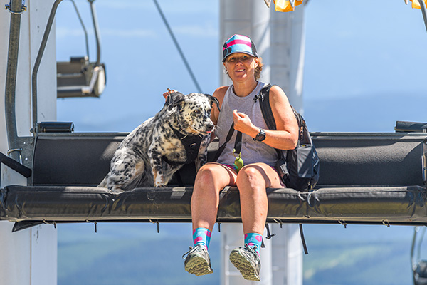Chairlift with dogs