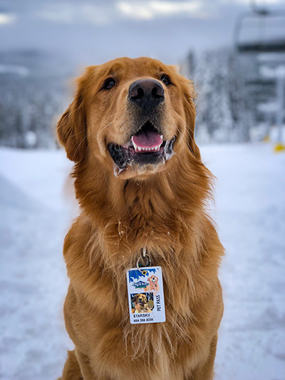 Pet Pass