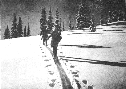 Powder, picture from January 1964