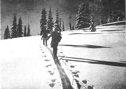 Old big white photo