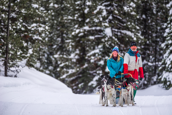 dog sledding