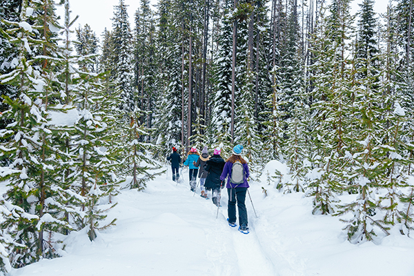 Snowshoeing