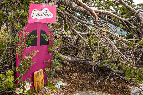 Fairy door geo hike