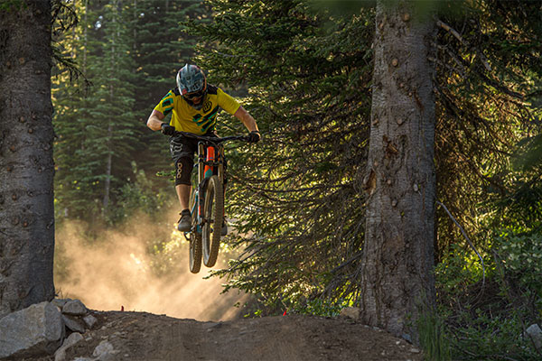 Rider