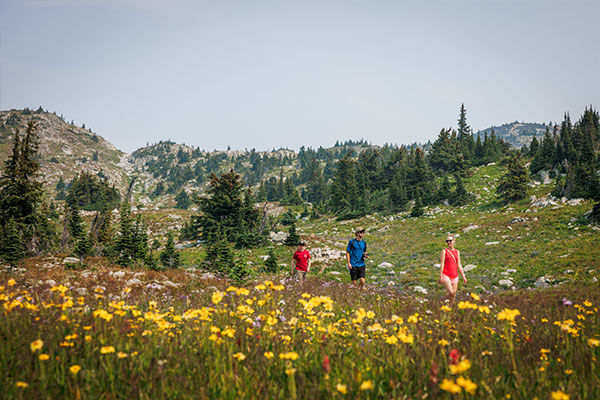 Summer trails