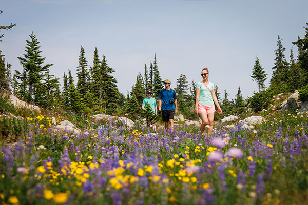 summer hiking