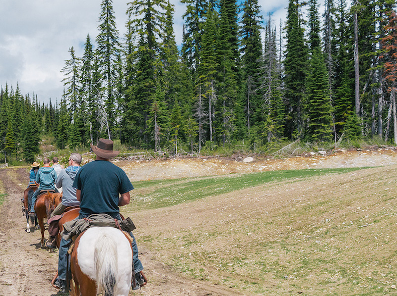 summer horse adventures