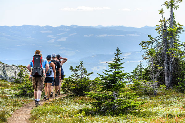 summer hikers