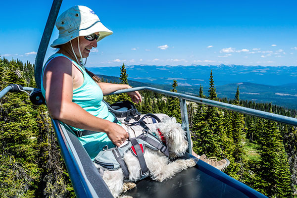 hiking with dogs