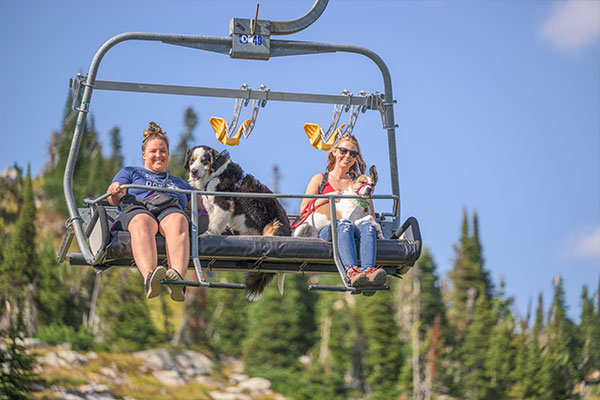 hiking with dogs