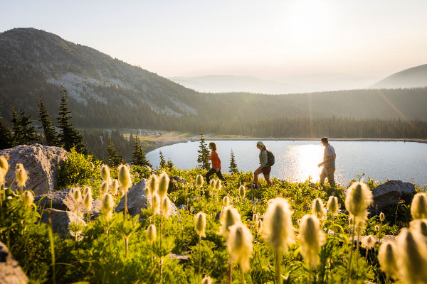 Hiking Trails