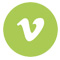 Vimeo icon