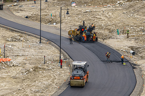 Black forest paving