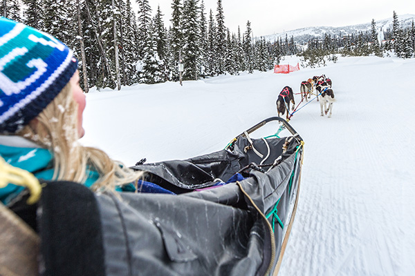 Dog Sled Tours