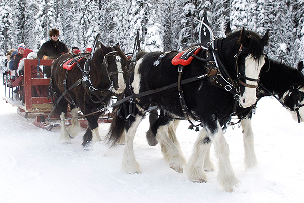 Sleigh ride