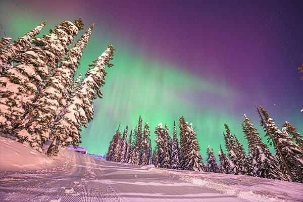 Northern Lights