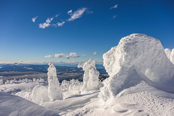 Snowghosts