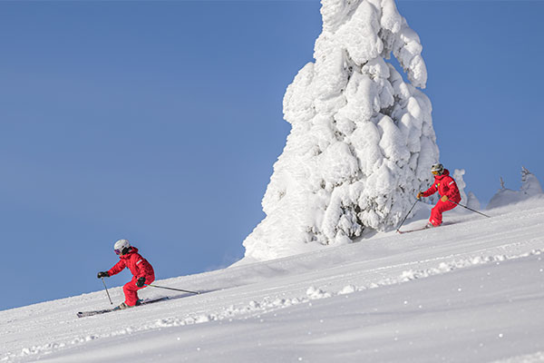 Instructor Training Programs