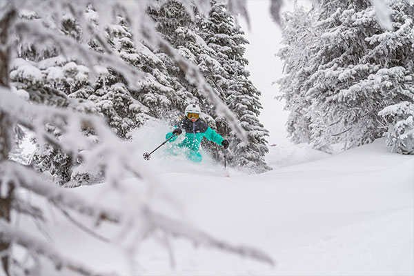 Tree skiing